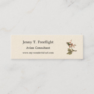 The Red-throated or Ruby-throated Hummingbird Mini Business Card