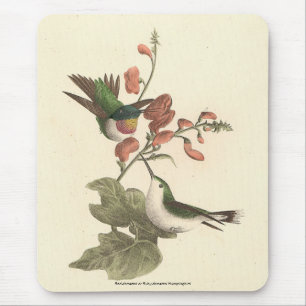 The Red-throated or Ruby-throated Hummingbird Mouse Pad