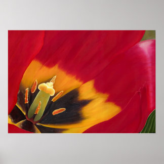 The Red Tulip Poster