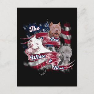 The Red, White & Blue Pitbull Dogs Postcard