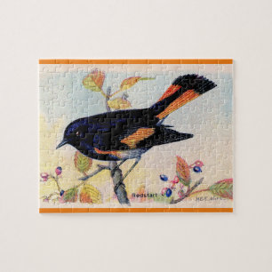 The Redstart Bird Jigsaw Puzzle