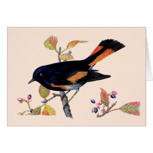 The Redstart Bird Thank You Card