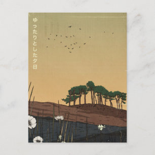 The Relaxing Evening Sunset Postcard
