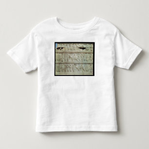 the relief frieze on the East stairway Toddler T-Shirt