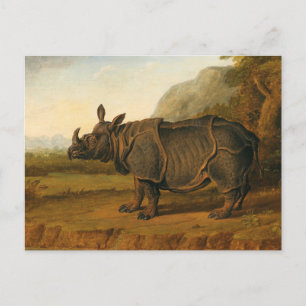 The Rhinoceros Clara by Jean-Baptiste Oudry Postcard