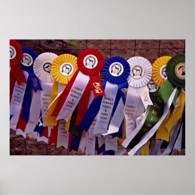 The Ribbons Poster (Front)