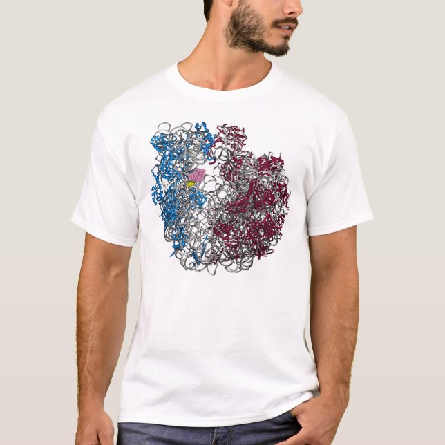 THE RIBOSOME - LARGE, HIGHER RESOLUTION T-Shirt (Front)