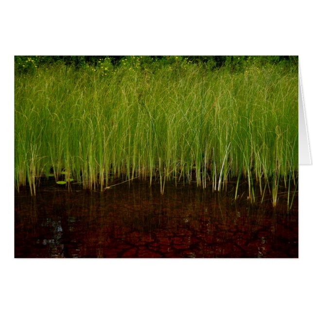 The Ridges Sanctuary (Front Horizontal)