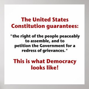 The Right to Assemble - What Democracy Looks Like Poster