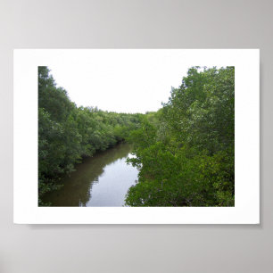 The River Green Australia Colour Photography Poster