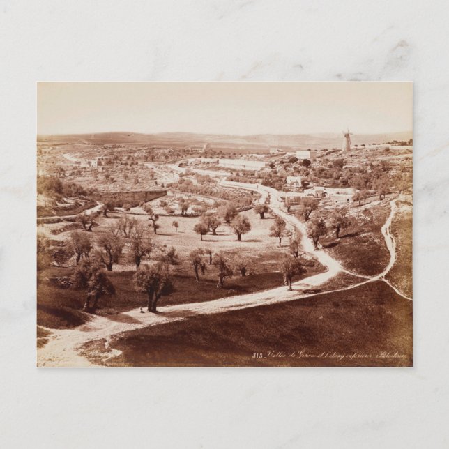 The road from Jerusalem to Bethlehem  Postcard (Front)