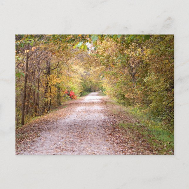 The Road Less Travelled Postcard (Front)
