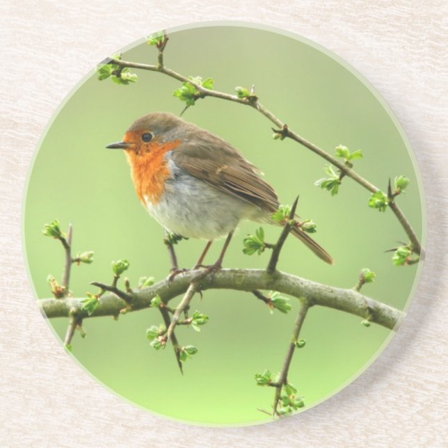 The Robin Coaster (Front)