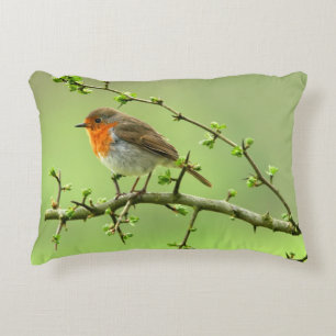 The Robin Decorative Cushion