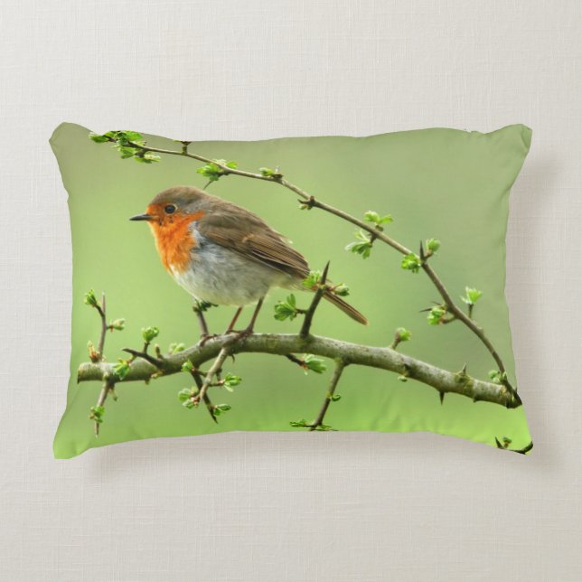 The Robin Decorative Cushion (Front)