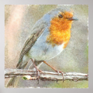 The Robin Is A Gabriel Watercolor Poster