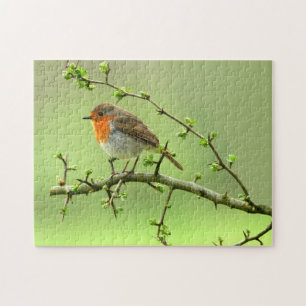 The Robin Jigsaw Puzzle