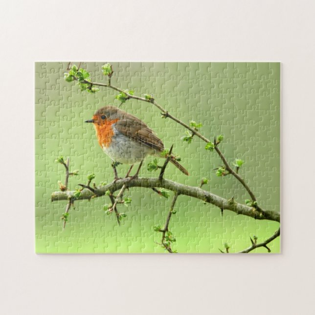 The Robin Jigsaw Puzzle (Horizontal)
