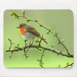 The Robin Mouse Pad