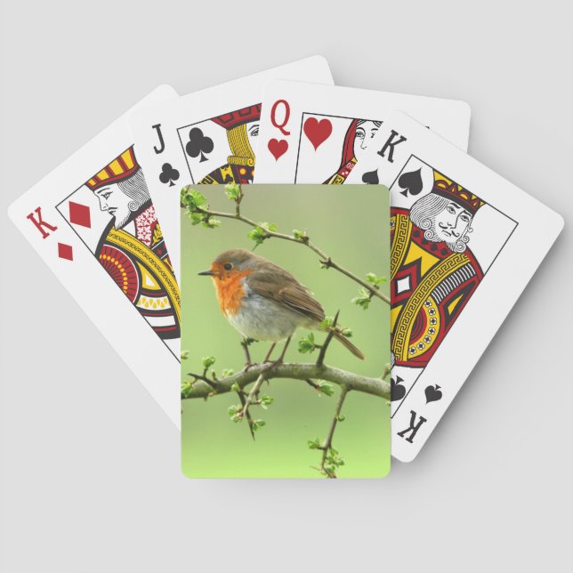 The Robin Playing Cards (Back)