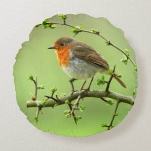The Robin Round Cushion