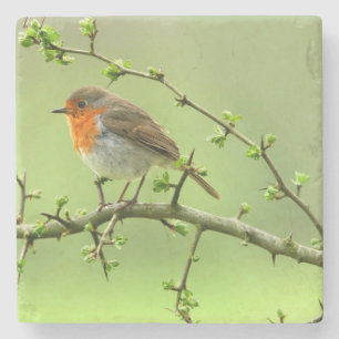 The Robin Stone Coaster