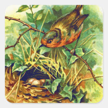 The Robin's Nest Vintage Illustration