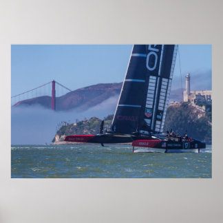 The Rock The ComeBack Collection Poster