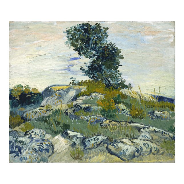 The Rocks Vincent van Gogh  Photo Print (Front)