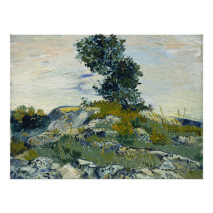 The Rocks Vincent van Gogh  Poster