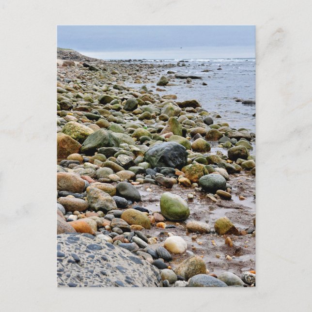 The Rocky Beaches of Montauk, Long Island, NY Postcard (Front)