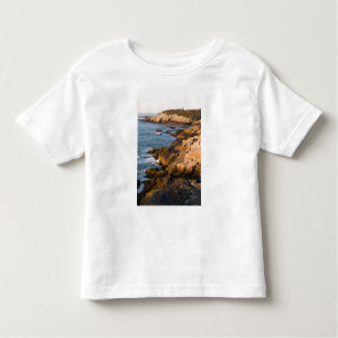 The rocky coast of Isle au Haut in Maine's Toddler T-Shirt