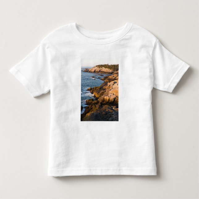 The rocky coast of Isle au Haut in Maine's Toddler T-Shirt (Front)