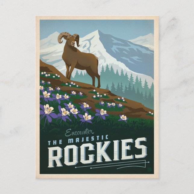The Rocky Mountains | Colorado Postcard (Front)