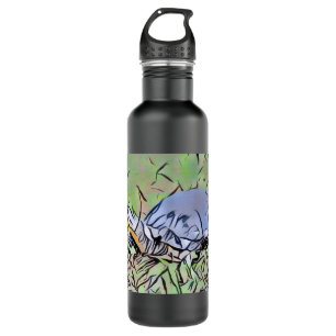  The Rogue Frog Illustration 710 Ml Water Bottle