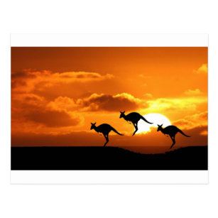 THE ROO RUNNERS. POSTCARD