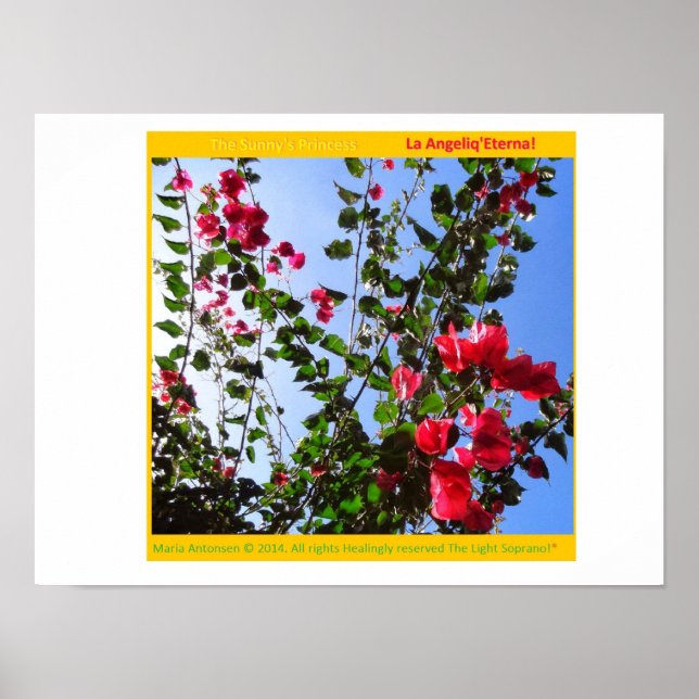 The Rosariankrantz of the Aurorarian Lamp! * Poster (Front)