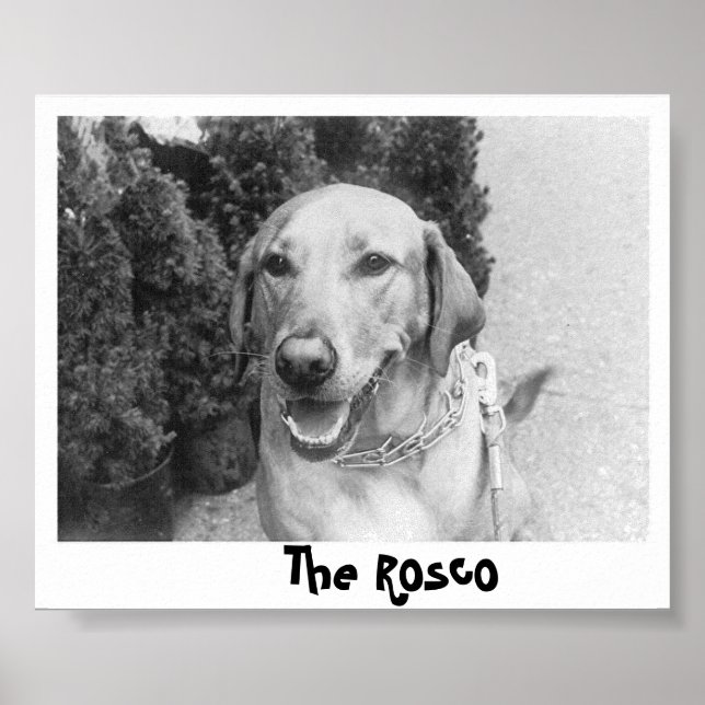 The Rosco Poster (Front)