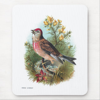 The Rose Linnet Mouse Pad