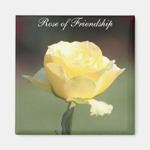 The Rose of Friendship Magnet