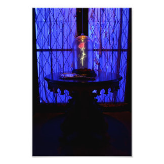 The Rose Photo Print