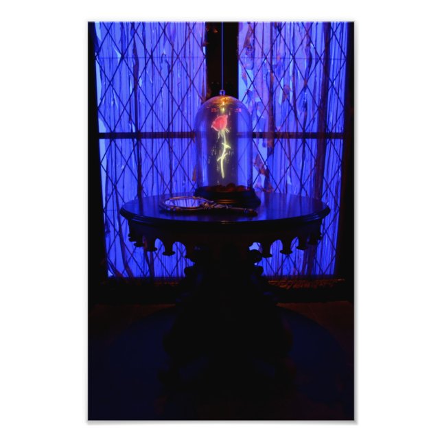 The Rose Photo Print (Front)