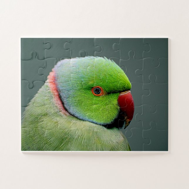The Rose Ringed Parakeet Jigsaw Puzzle (Horizontal)