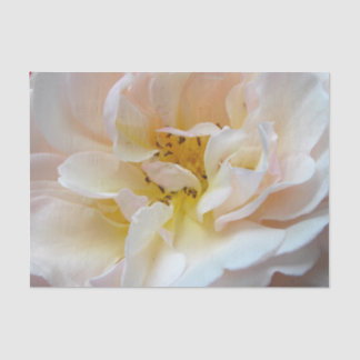 The Rose Tissue Paper