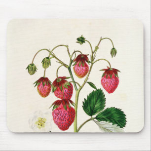 The Roseberry Strawberry, engraved by Watte Mouse Pad
