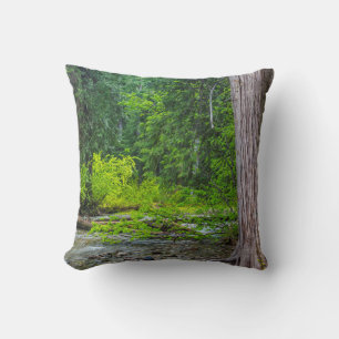 The Ross Creek Cedars Scenic Area Cushion