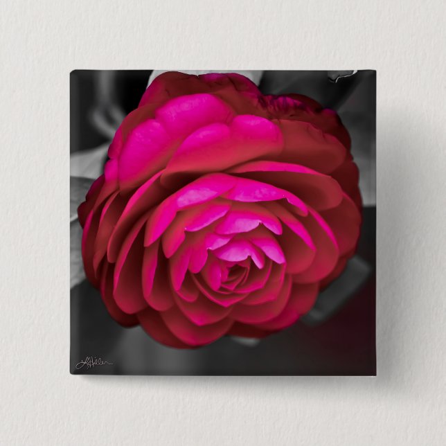 The Rosy Camellia  15 Cm Square Badge (Front)