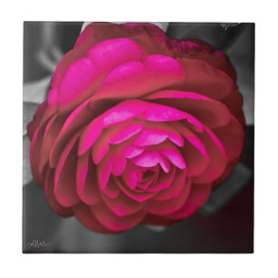 The Rosy Camellia Ceramic Tile