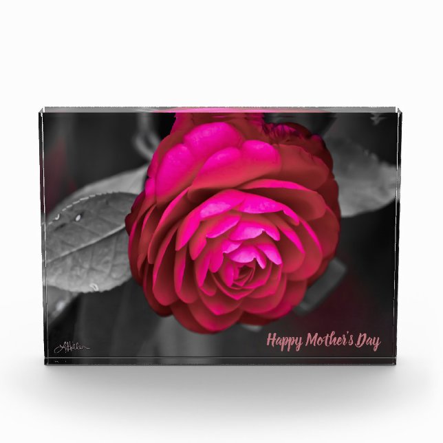 The Rosy Camellia Happy Mother's Day Photo Block (Front)