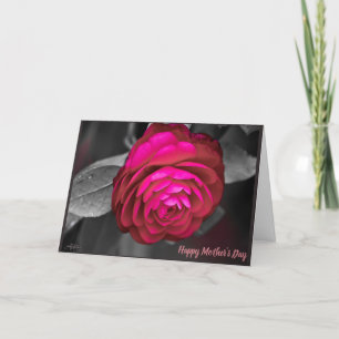 The Rosy Camellia Happy Mother's Day Thank You Card